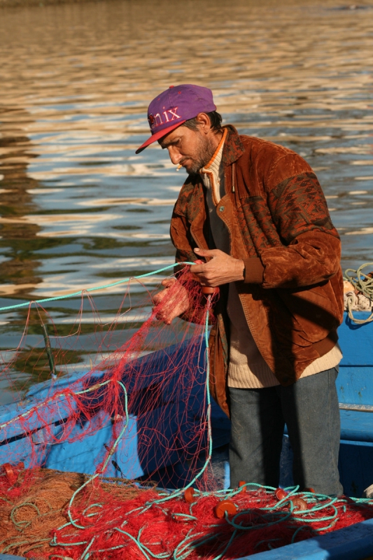 Checking the Nets